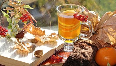 jeřábptačí, mandarinka, podzim, kaštan, kniha, žalud, sklenice, čaj, bobule, citrón, sklo
