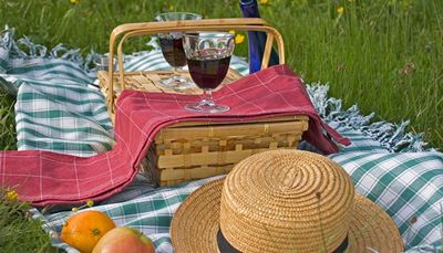 krepšys, skrybėlė, pieva, iškyla, staltiesė, languotas, rankenėlės, apelsinas, obuolys, vynas