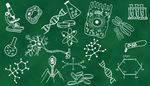 mikroskopas, kolba, nanorobotas, atomas, megintuvelis, branduolys, formule, chromosoma, nervas, genas, lastele