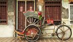 infissi, triciclo, pignone, trasporto, cassetta, pedale, riscio, ruota, porta, bouquet, casa